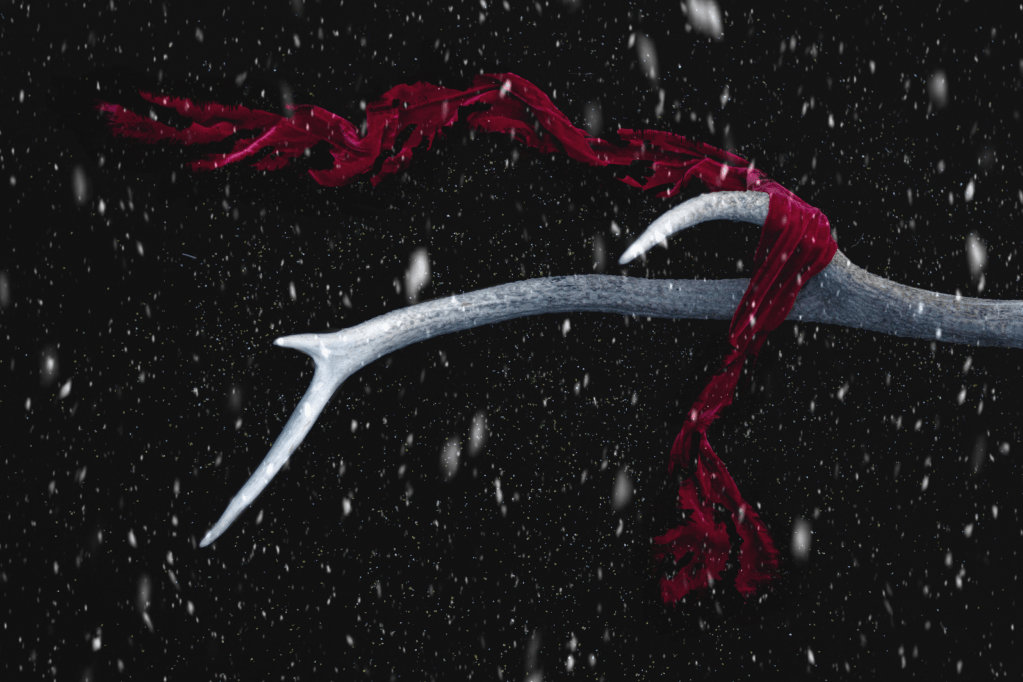 Fiction > Bonded by&nbsp;Blood