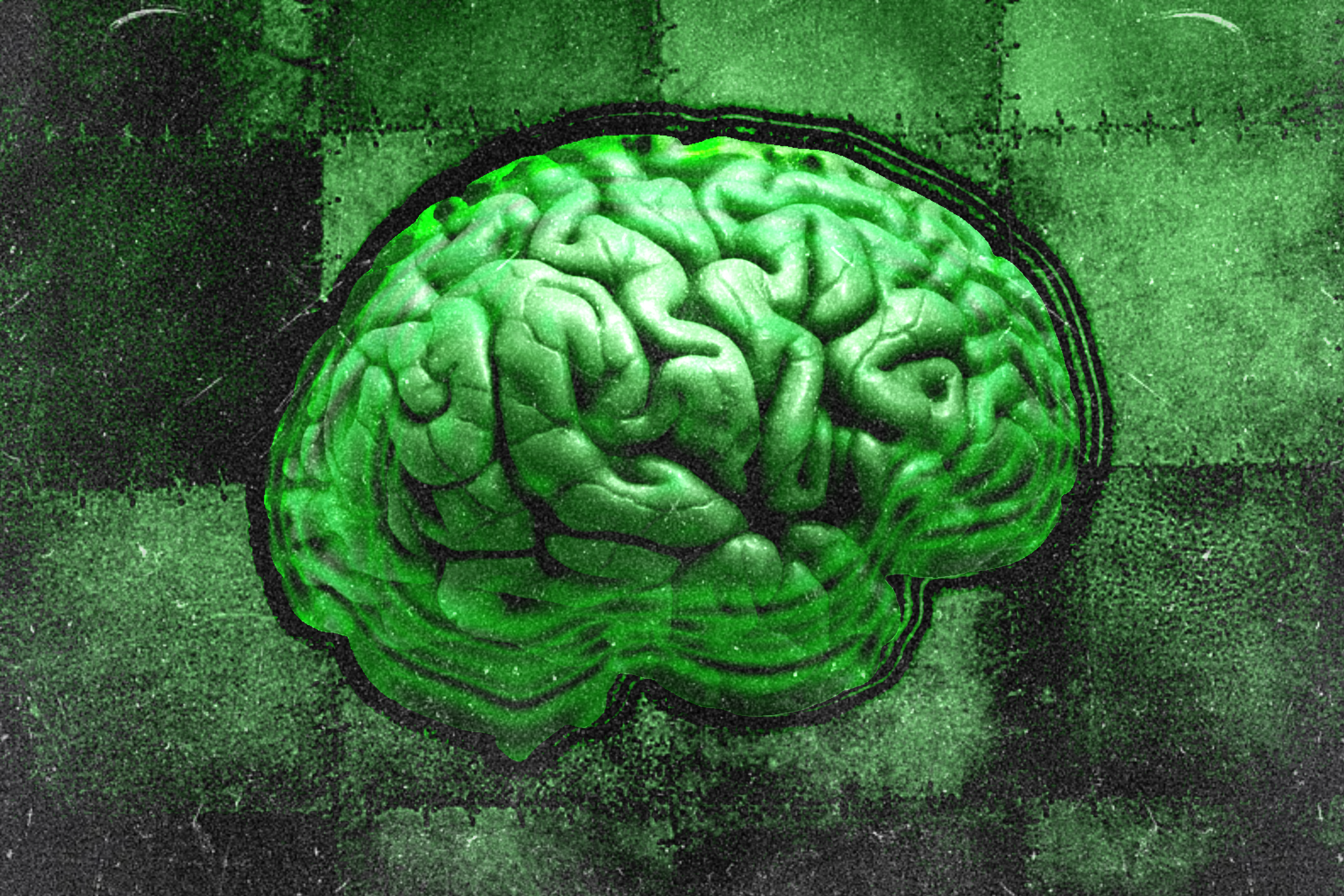 The brain of Frankenstein: Psych professors dissect a monster – Velocity