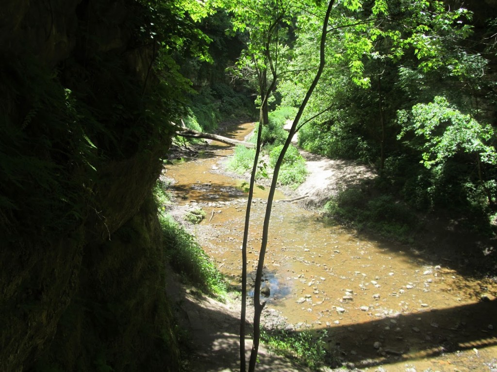 Poetry > A Woman is the&nbsp;Wilderness