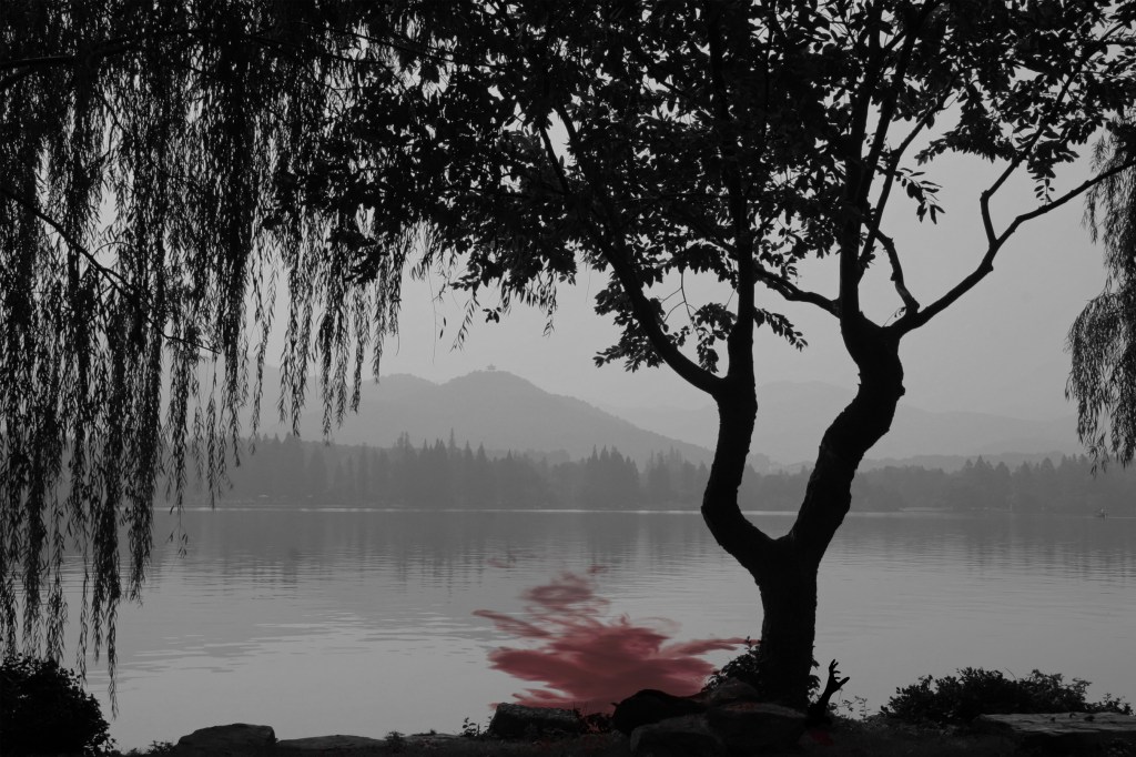 Fiction > Blood Among the&nbsp;Branches