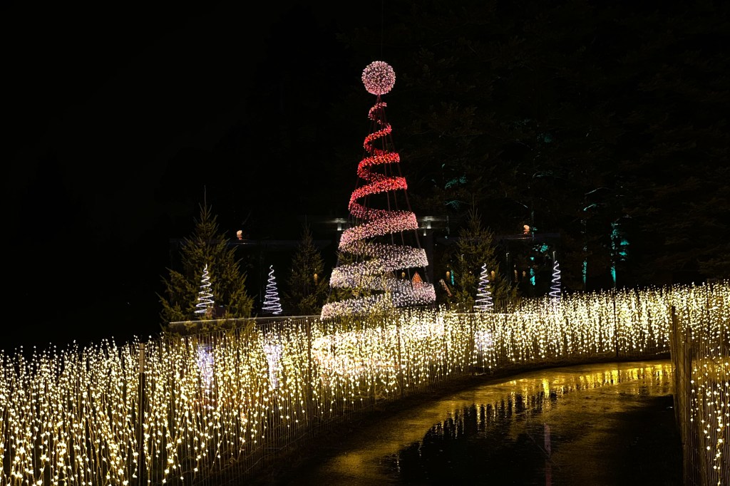 Arboretum illuminates the night with magical experience of holiday&nbsp;lights