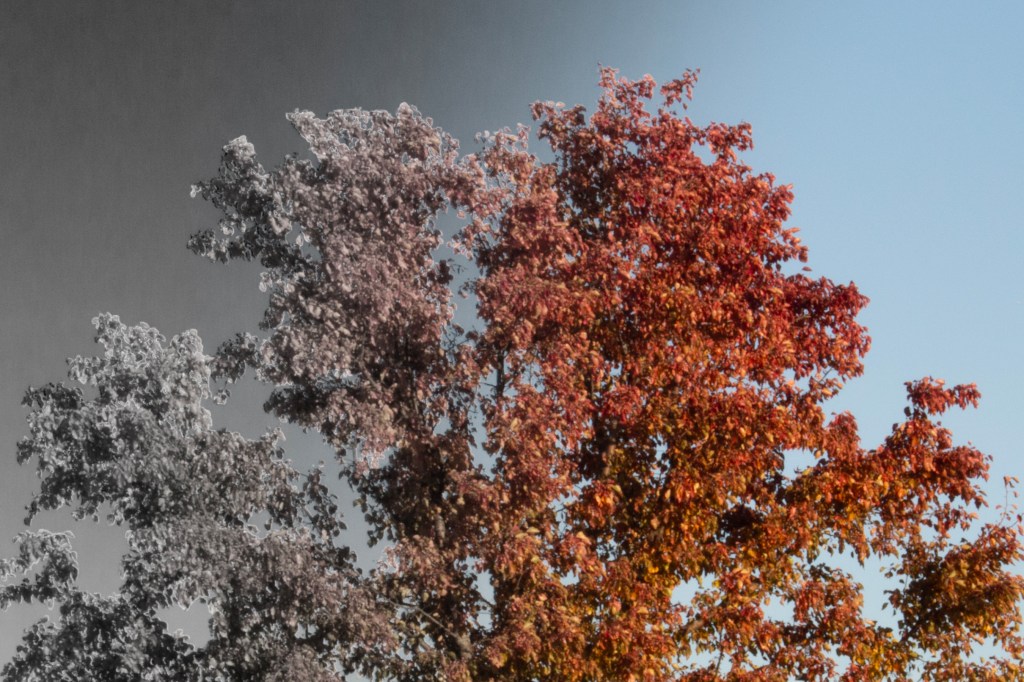 Poetry > Seasons of&nbsp;Color